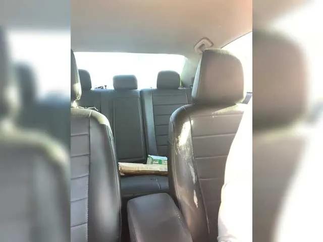 DonorDi on BongaCams 
