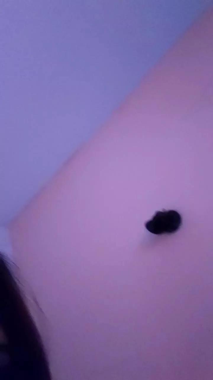 bbmalu on Cam4 