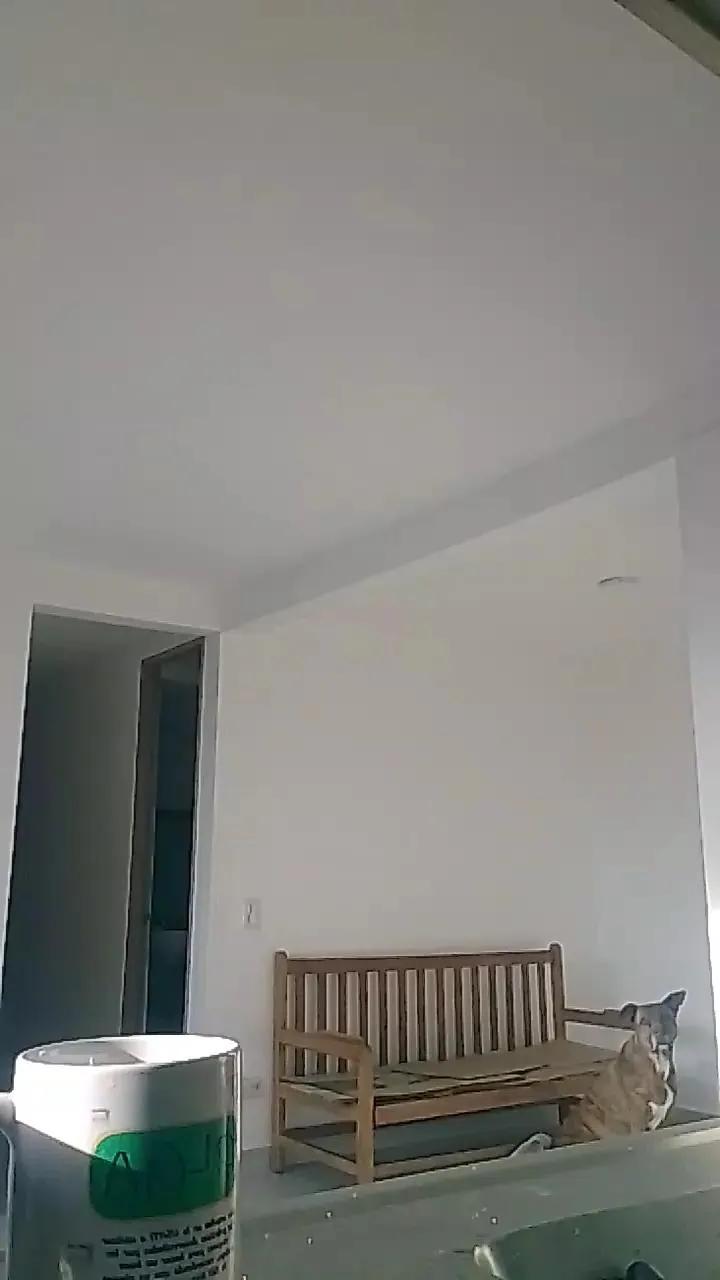 diana_mistery on Cam4