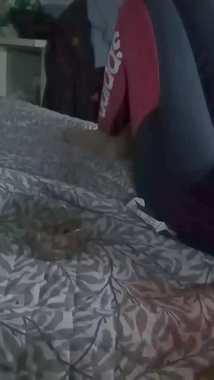 Hiddenstefi on Cam4 