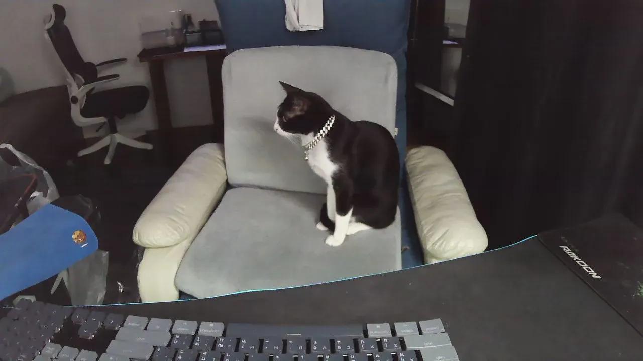 zeenfan on Cam4 
